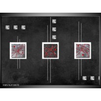 Glas schilderij Vierkant | Grijs, Zwart, Rood 