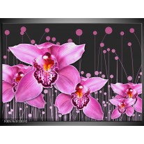 Glas schilderij Orchidee | Roze, Grijs 