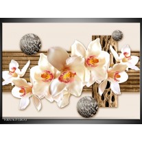 Foto canvas schilderij Orchidee | Creme, Bruin 