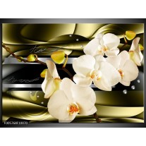 Foto canvas schilderij Orchidee | Groen, Creme 