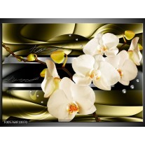 Glas schilderij Orchidee | Groen, Crème 