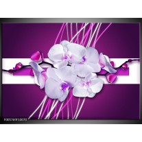 Foto canvas schilderij Orchidee | Paars, Wit 