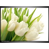 Glas schilderij Tulpen | Wit, Groen 