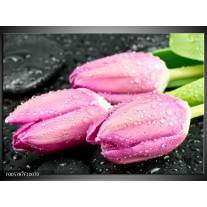 Foto canvas schilderij Tulpen | Roze, Zwart 