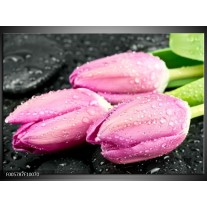 Glas schilderij Tulpen | Roze, Zwart 