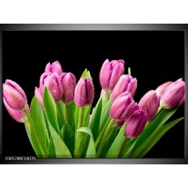 Glas schilderij Tulpen | Roze, Zwart, Groen 