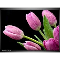 Glas schilderij Tulpen | Roze, Zwart, Groen 