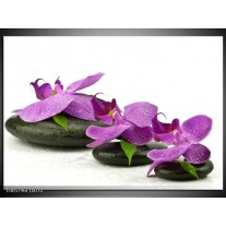 Foto canvas schilderij Orchidee | Paars, Wit 