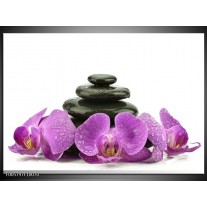 Foto canvas schilderij Orchidee | Paars, Zwart, Wit 