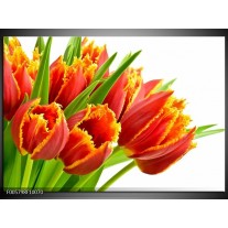 Foto canvas schilderij Tulpen | Oranje, Groen, Wit 