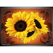 Glas schilderij Zonnebloem | Geel, Bruin 