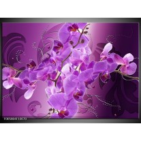 Glas schilderij Orchidee | Paars 