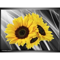 Foto canvas schilderij Zonnebloem | Grijs, Geel, Wit 