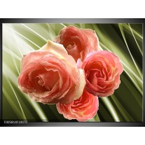 Glas schilderij Roos | Roze, Groen 