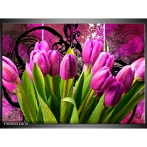Glas schilderij Tulpen | Paars, Groen, Roze 