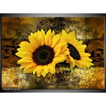 Foto canvas schilderij Zonnebloem | Geel, Bruin, Goud 