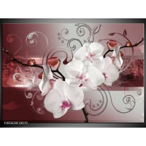 Foto canvas schilderij Orchidee | Wit, Grijs 