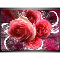 Foto canvas schilderij Roos | Roze, Paars, Wit 