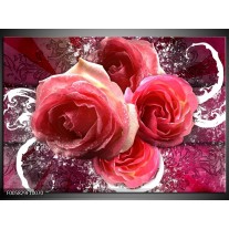 Glas schilderij Roos | Roze, Paars, Wit 