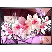 Glas schilderij Orchidee | Paars, Roze, Wit 