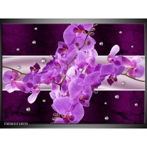 Foto canvas schilderij Orchidee | Paars 