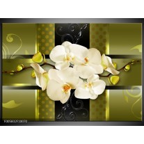 Foto canvas schilderij Orchidee | Groen 