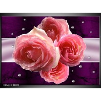 Foto canvas schilderij Roos | Paars, Roze 