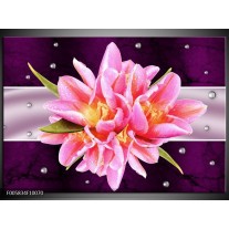 Foto canvas schilderij Modern | Paars, Roze 