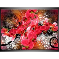 Glas schilderij Orchidee | Roze, Rood, 
