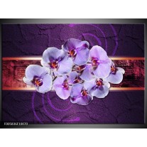 Foto canvas schilderij Orchidee | Paars 