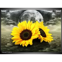 Foto canvas schilderij Zonnebloem | Geel, Bruin, Grijs 