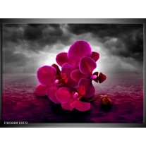 Foto canvas schilderij Orchidee | Rood, Grijs, Paars 