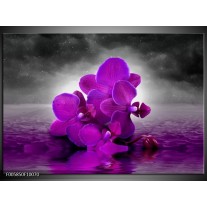 Foto canvas schilderij Orchidee | Paars, Grijs 