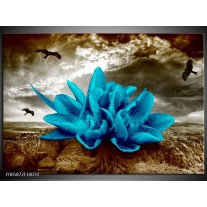 Foto canvas schilderij Lelie | Blauw, Grijs 