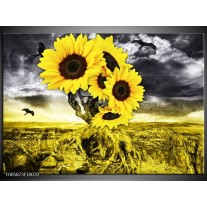 Foto canvas schilderij Zonnebloem | Geel, Grijs 