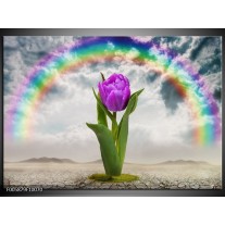 Foto canvas schilderij Tulp | Paars, Grijs, Groen 