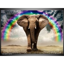 Foto canvas schilderij Olifant | Grijs 