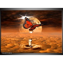 Glas schilderij Vlinder | Bruin, Goud 