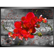 Foto canvas schilderij Orchidee | Rood, Grijs 