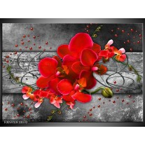 Glas schilderij Orchidee | Rood, Grijs 