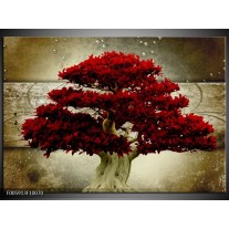 Foto canvas schilderij Boom | Rood, Bruin 