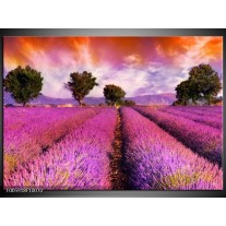 Foto canvas schilderij Landschap | Roze, Oranje, Grijs 