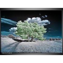 Foto canvas schilderij Boom | Groen, Blauw, Grijs 