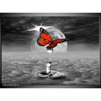 Glas schilderij Vlinder | Rood, Grijs, Wit 