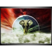 Foto canvas schilderij Olifant | Rood, Blauw, Wit 