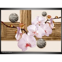 Foto canvas schilderij Orchidee | Roze, Grijs, Bruin 