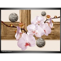 Glas schilderij Orchidee | Roze, Grijs, Bruin 