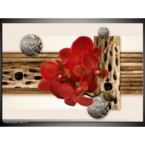 Foto canvas schilderij Orchidee | Rood, Bruin, Wit 