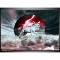 Glas schilderij Paard | Rood, Grijs, Wit 