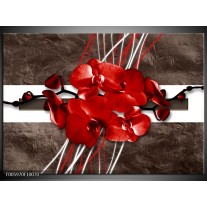 Foto canvas schilderij Orchidee | Rood, Bruin, Wit 